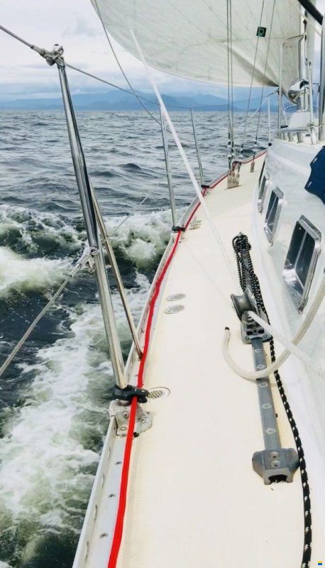 Saga 43