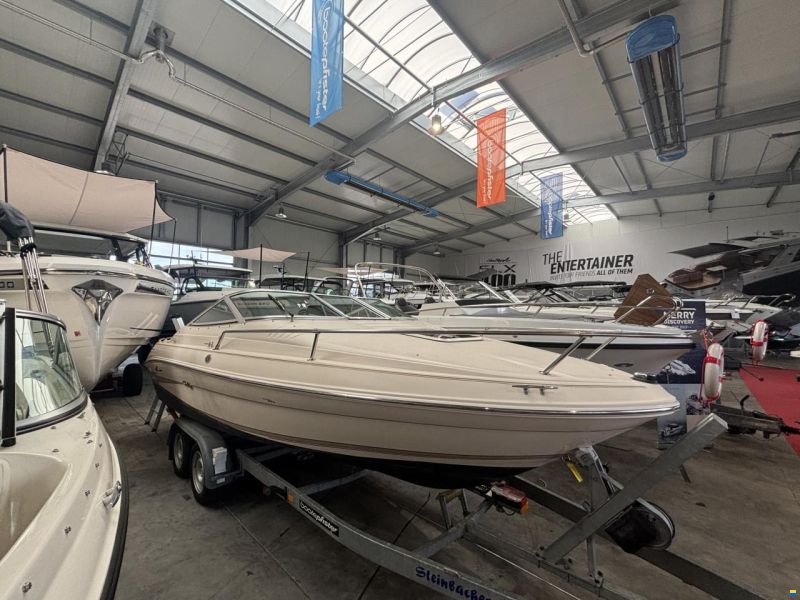 Sea Ray 200 OVS