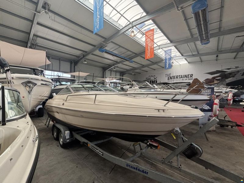 Sea Ray 200 OVS