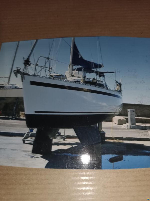 Wrighton Bilou 9m