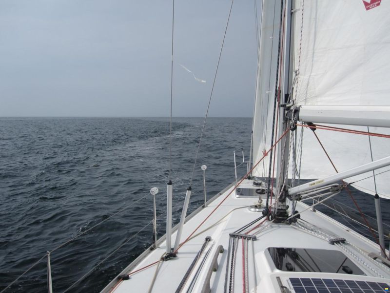 Luffe 40