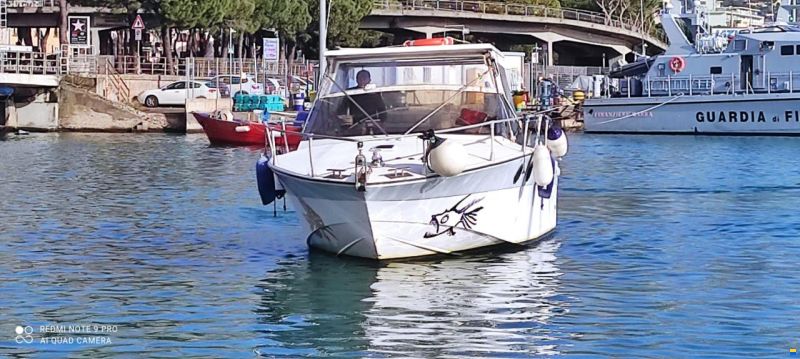 Baia 43
