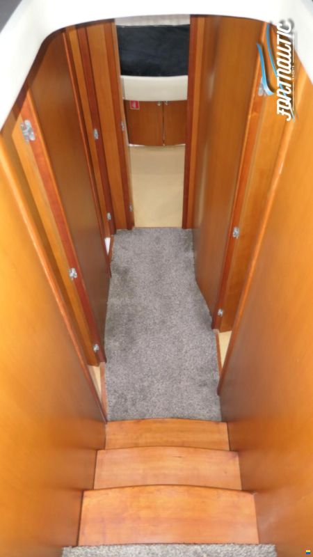 Accentor 50