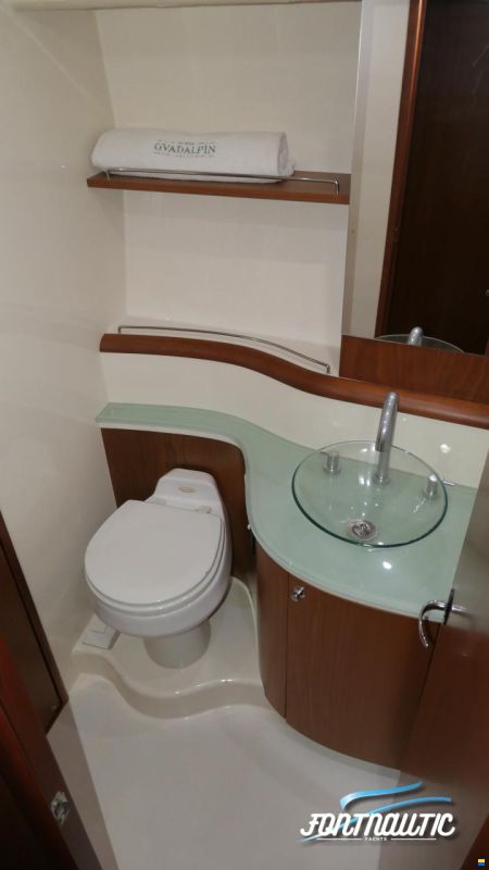 Accentor 50