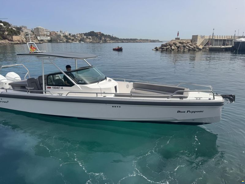 Axopar 28 T-Top