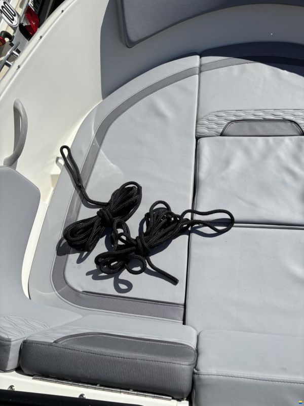Bayliner M17 Element