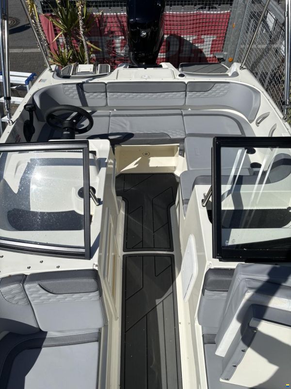 Bayliner M17 Element