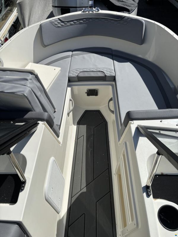 Bayliner M17 Element