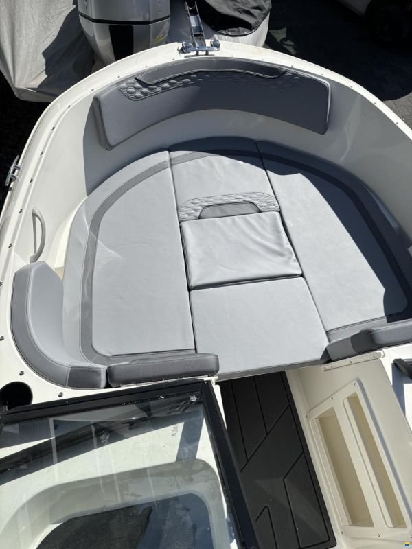 Bayliner M17 Element
