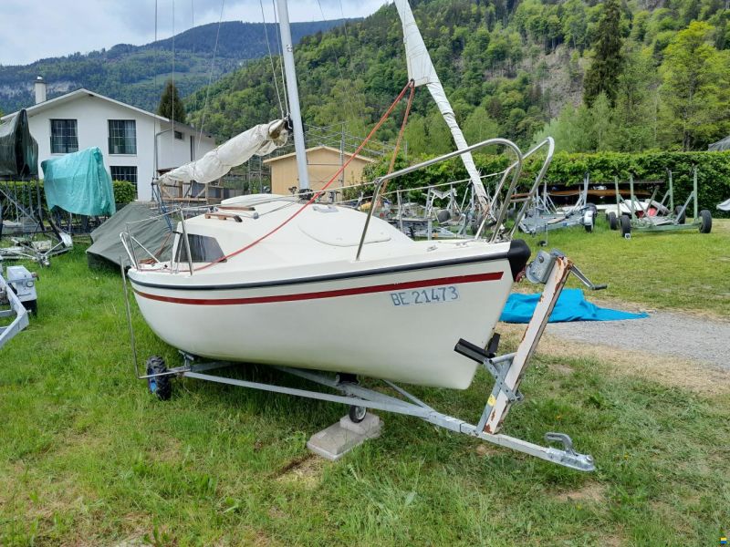 Albatros 570