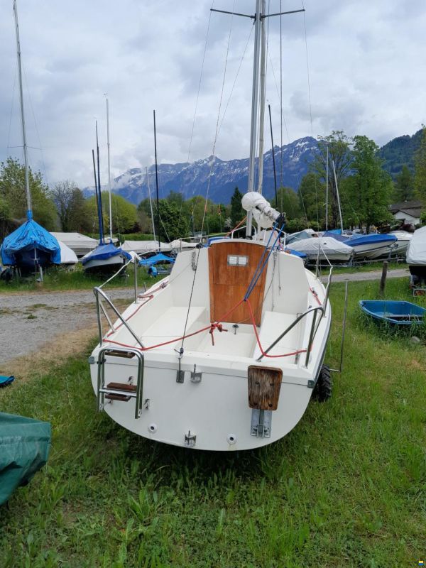 Albatros 570