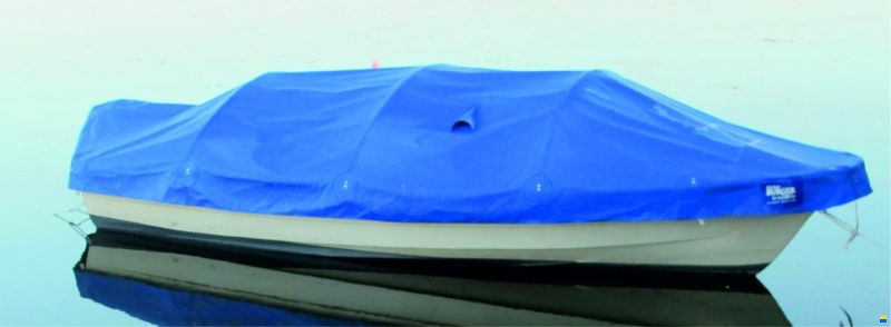 Fjord N, Ali Girl 15