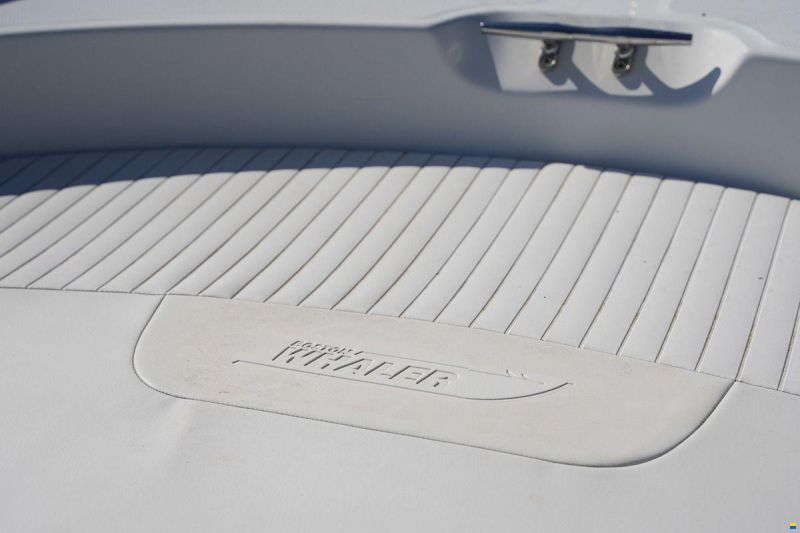 Boston Whaler 190 Montauk