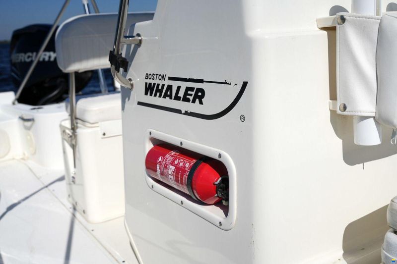 Boston Whaler 190 Montauk