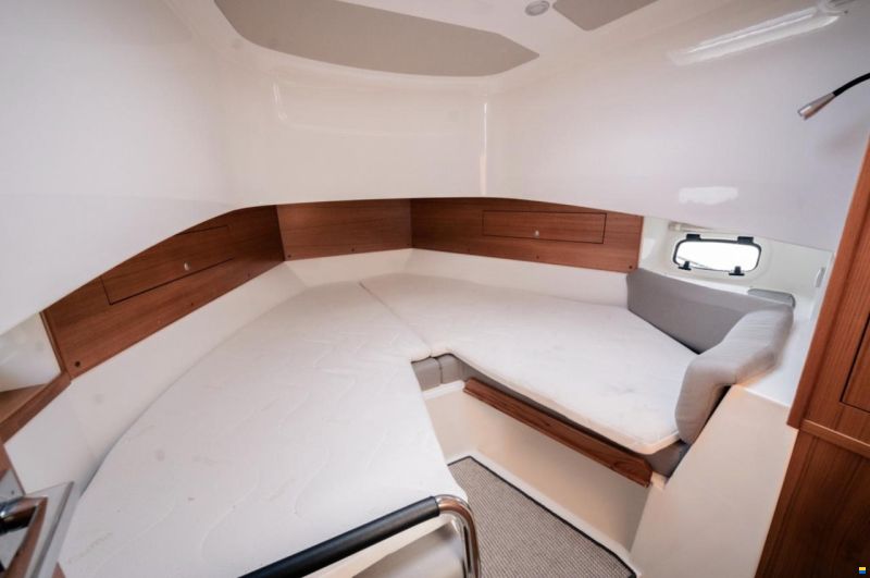 Sargo 33