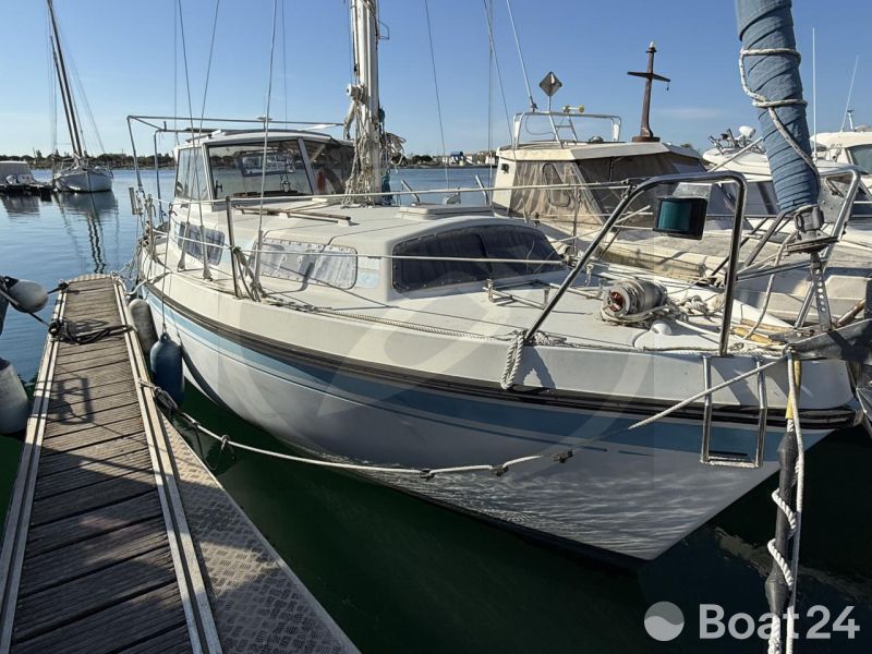 Kirie FIFTY 27