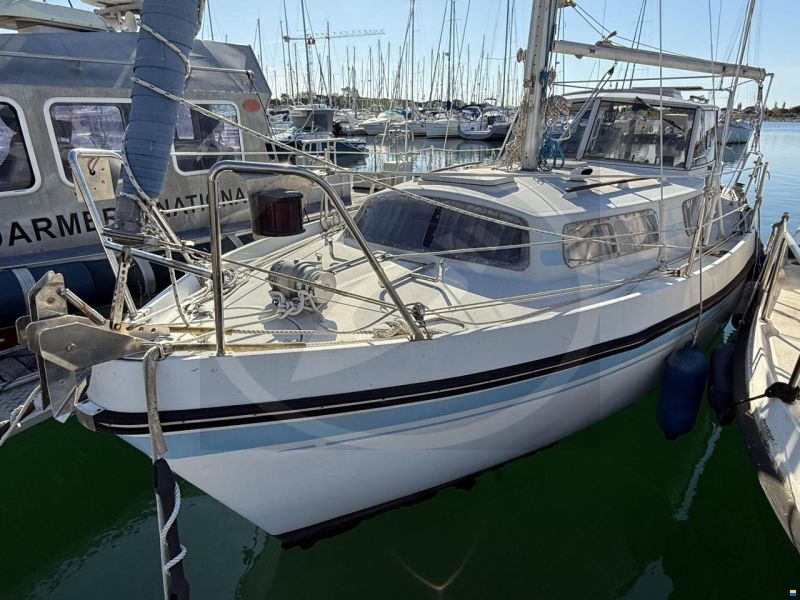 Kirie FIFTY 27