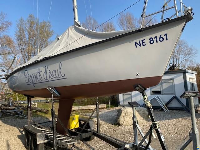 Archambault Surprise 181