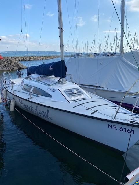 Archambault Surprise 181
