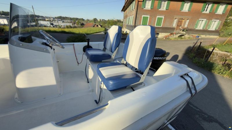 Quicksilver Fish 500