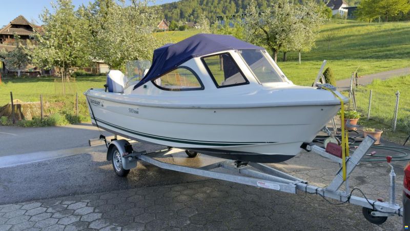 Quicksilver Fish 500