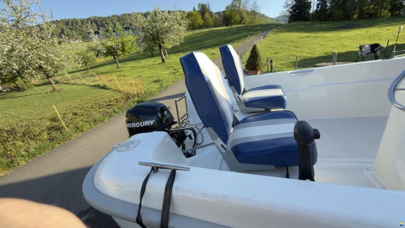 Quicksilver Fish 500