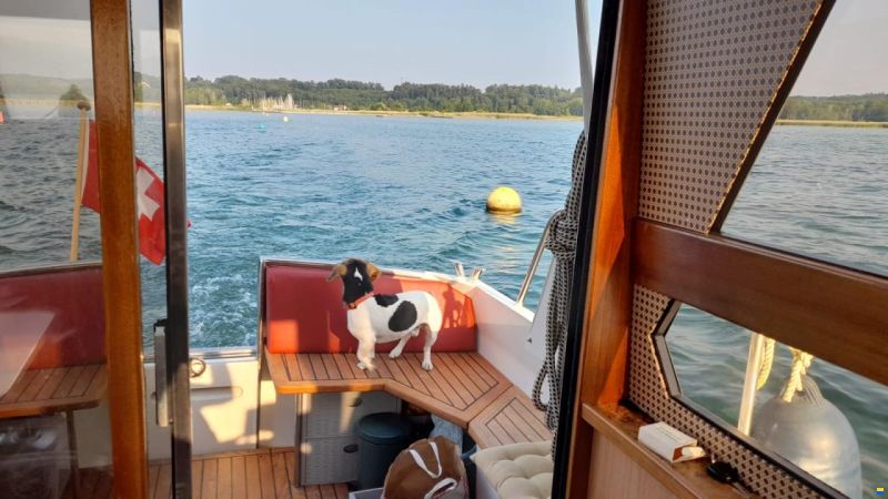 Chavanne Ferstyle720