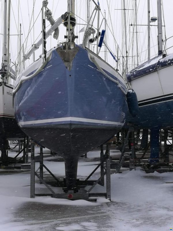 Camper & Nicholsons Nicholson 31