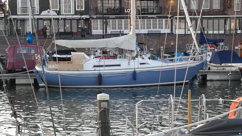 Camper & Nicholsons Nicholson 31