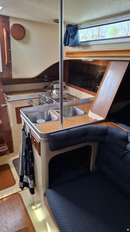 Camper & Nicholsons Nicholson 31