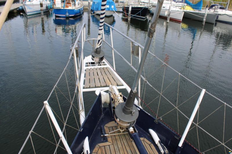Koopmans 40