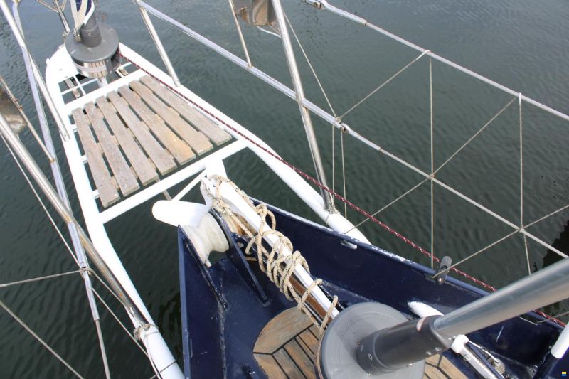 Koopmans 40