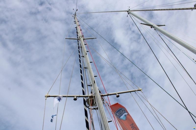 Koopmans 40