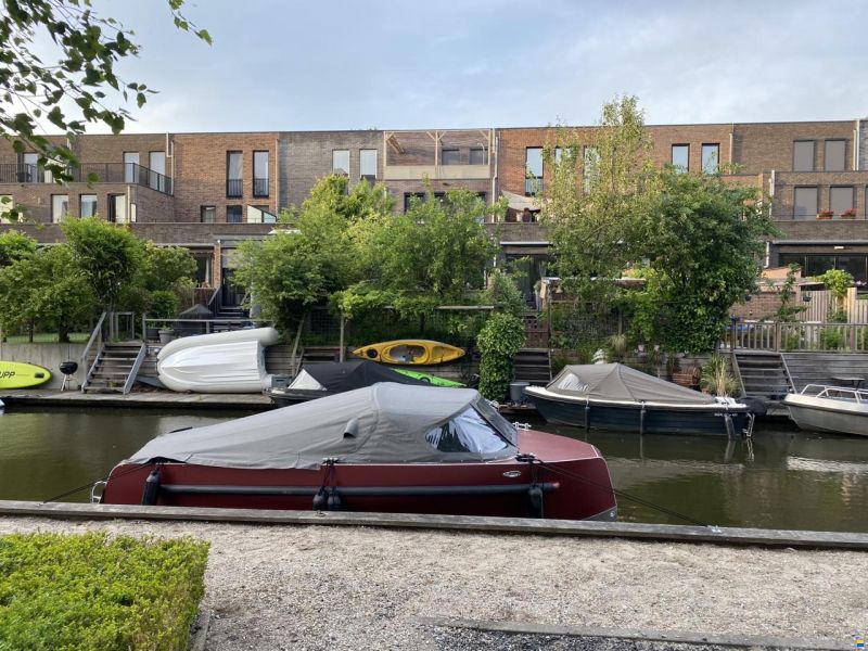 Malina 20