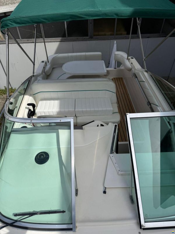 Sea Ray 230