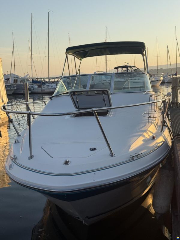 Sea Ray 230