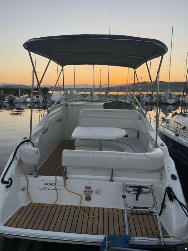 Sea Ray 230