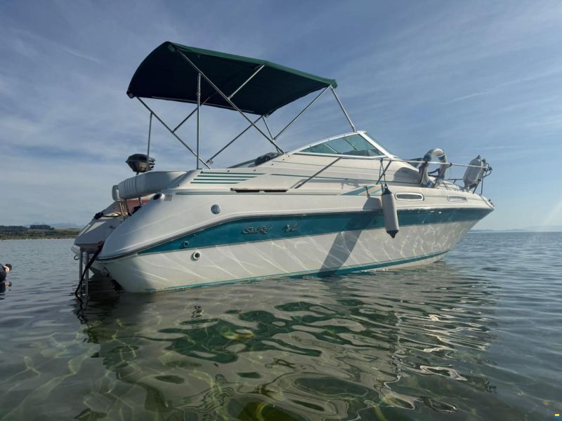 Sea Ray 230