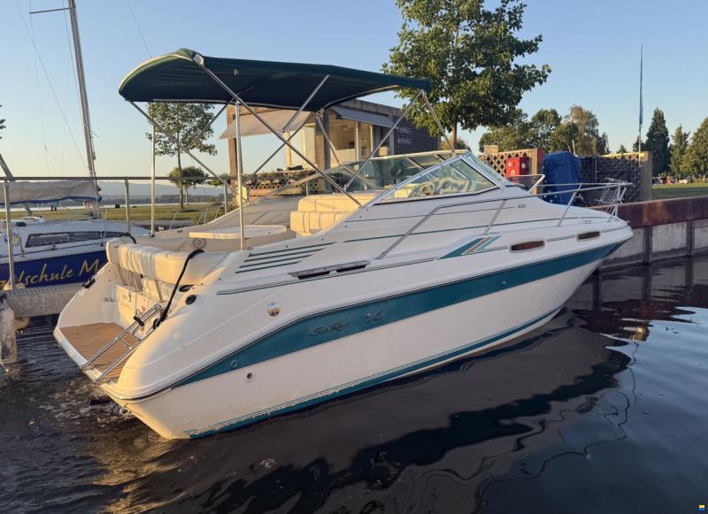 Sea Ray 230