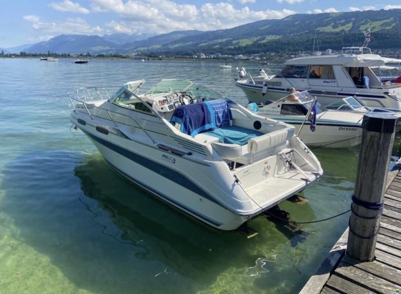 Sea Ray 230