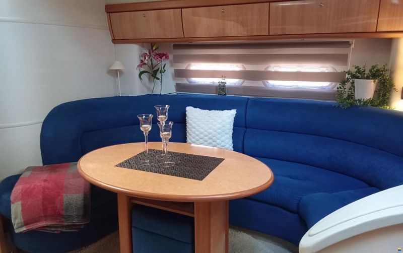 Sealine S41