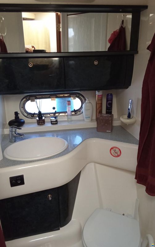 Sealine S41
