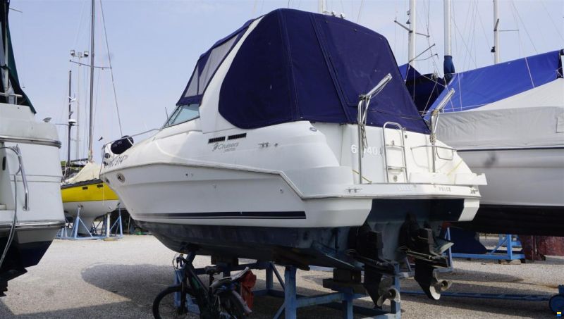 Cruisers 3175 Rogue