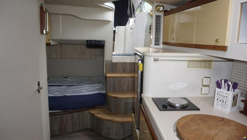 Cruisers 3175 Rogue