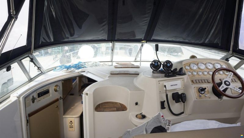 Cruisers 3175 Rogue