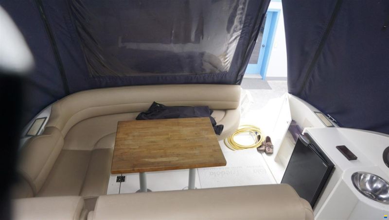Cruisers 3175 Rogue