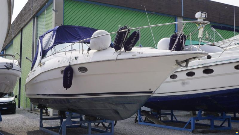 Cruisers 3175 Rogue