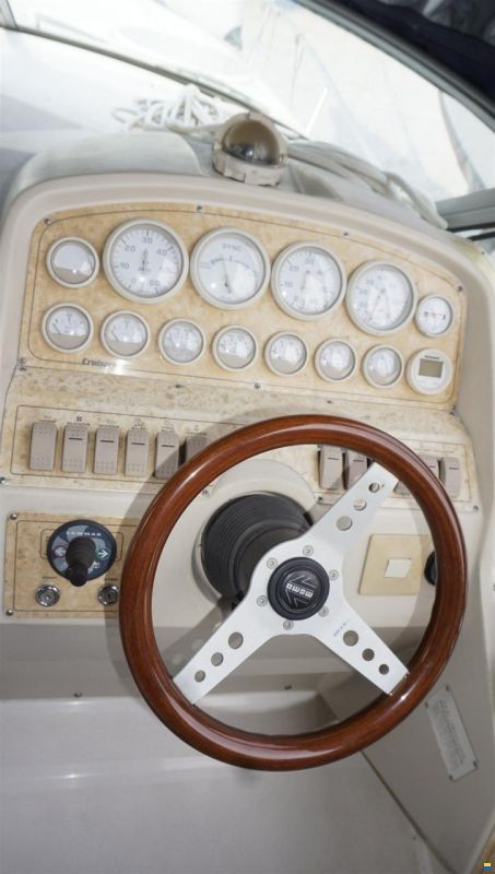 Cruisers 3175 Rogue