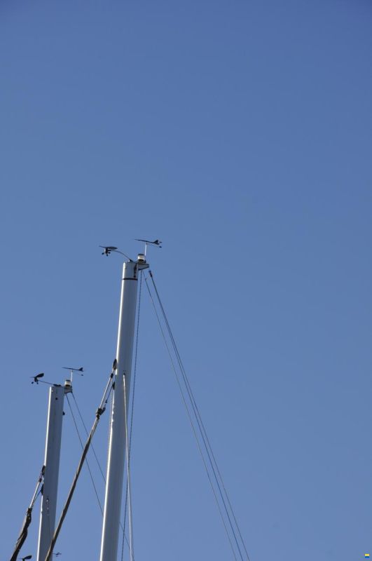 Bavaria 37 CRUISER