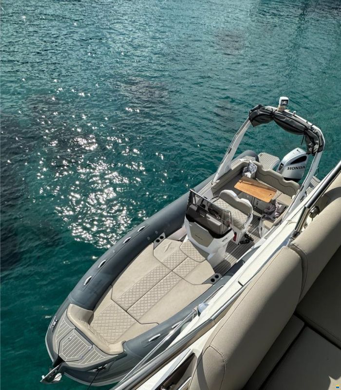 Salpa Soleil 26